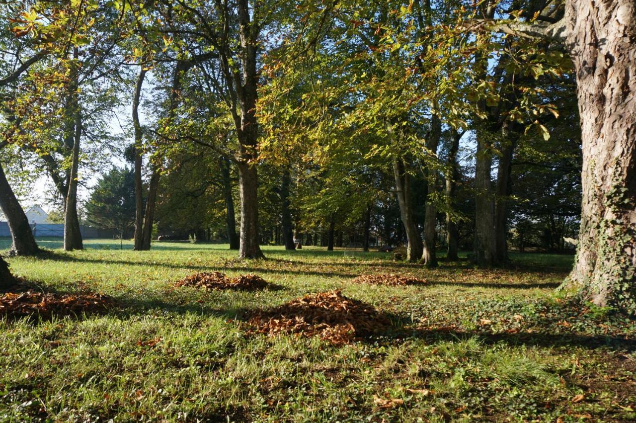 Domaine Du Moulin A Vent - Gite & Spa Saint-Florent-sur-Cher 外观 照片